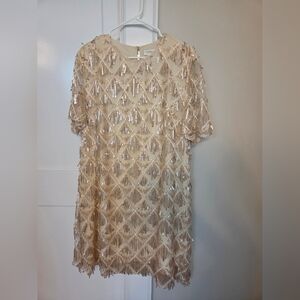 Sequin Fringe Dress NWOT